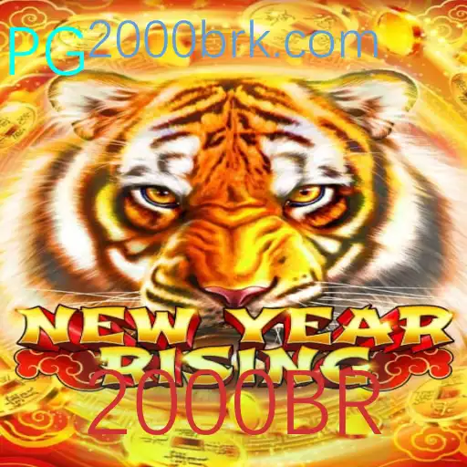 Explorando o Mundo Emocionante de NewYearRising